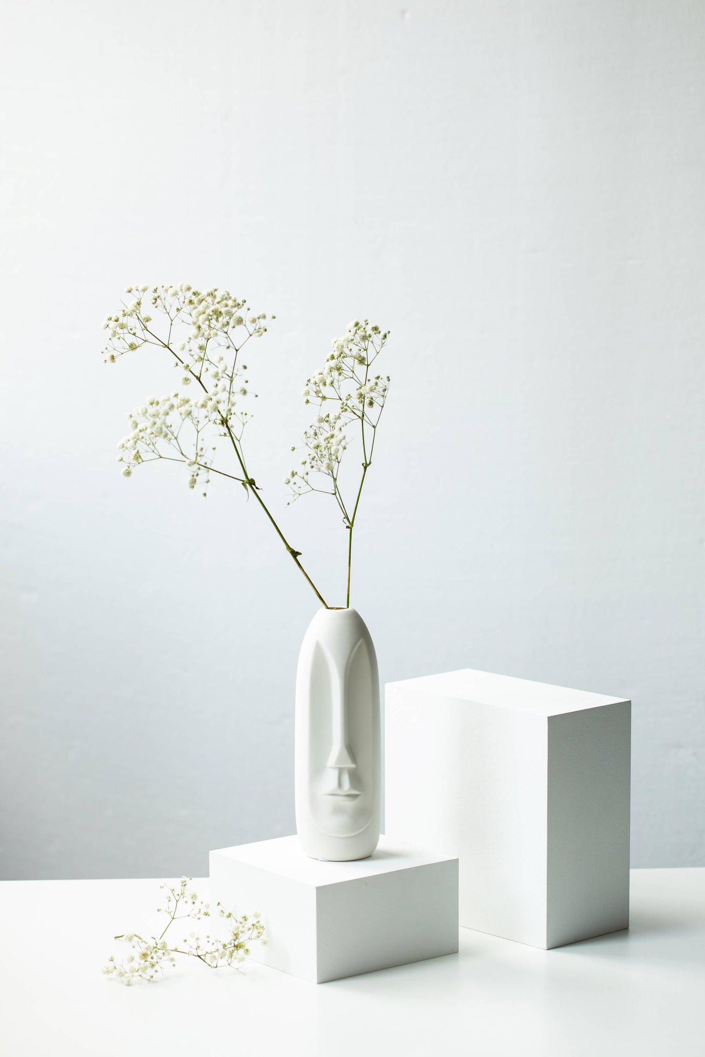 Face Vase Set of 2, White Modern Pampas Vases, Nordic Style