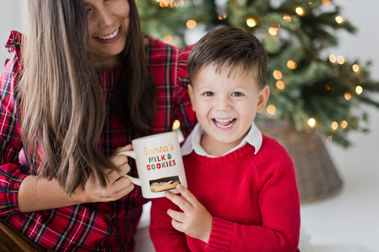 Santa’s Milk & Cookies Mug, Christmas Mug